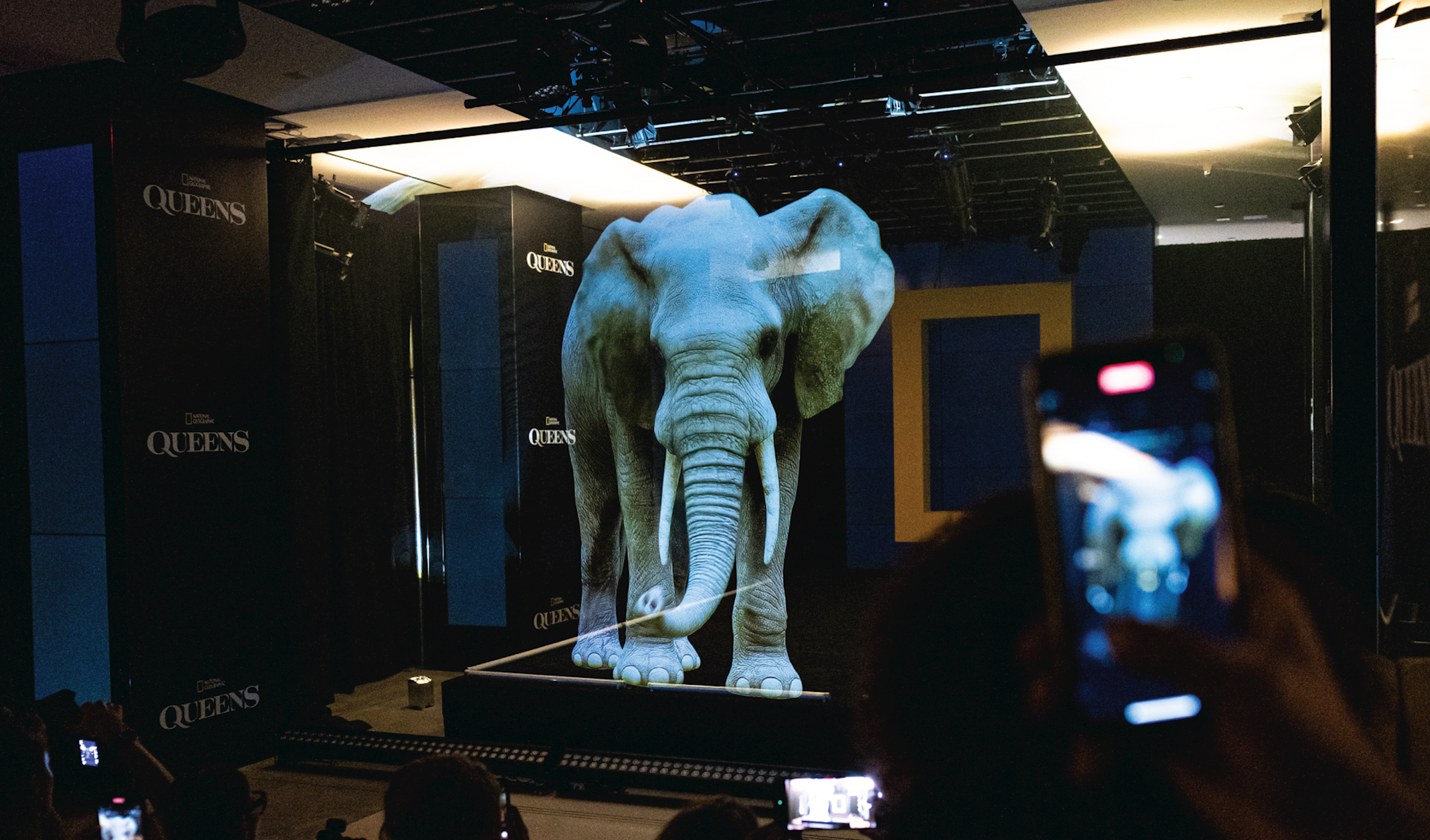 behind-the-scenes-of-nat-geos-spectacular-nyfw-event