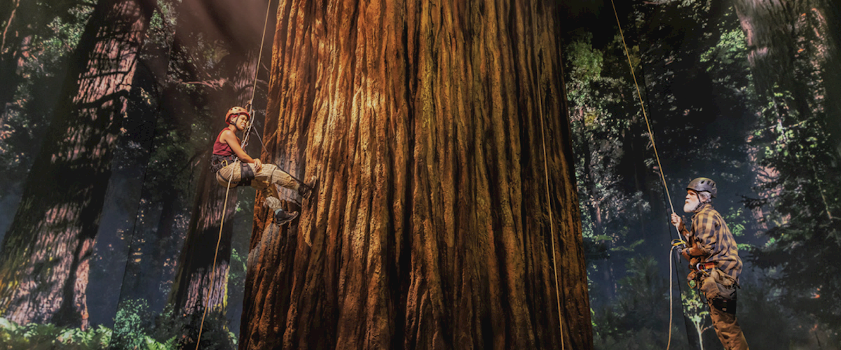 PRG supported the theater production with an extensive range of services, including scenic, automation, lighting, audio and video, displayed gloriously over the largest LED display ever seen on Broadway